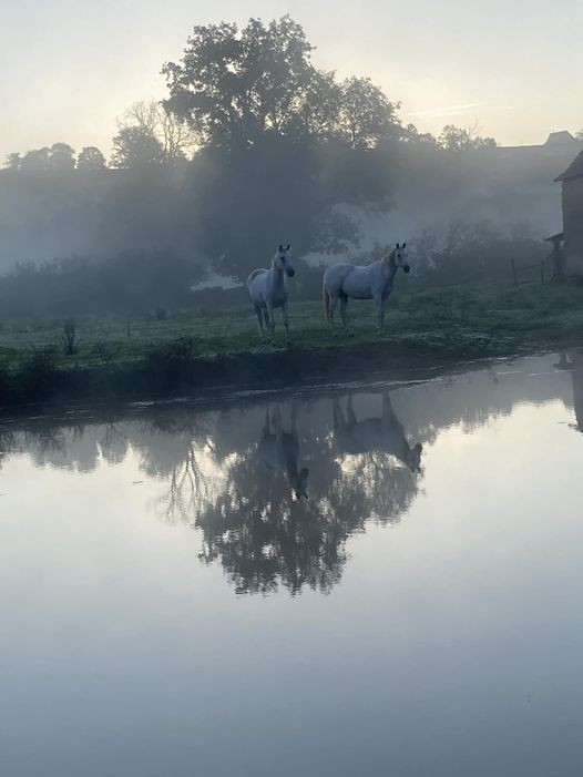 matin d'automne 