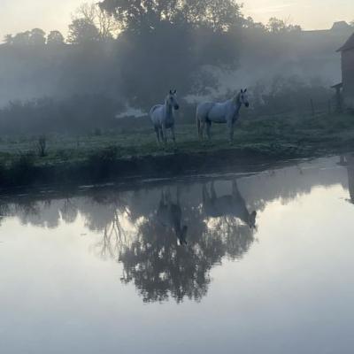 matin d'automne 