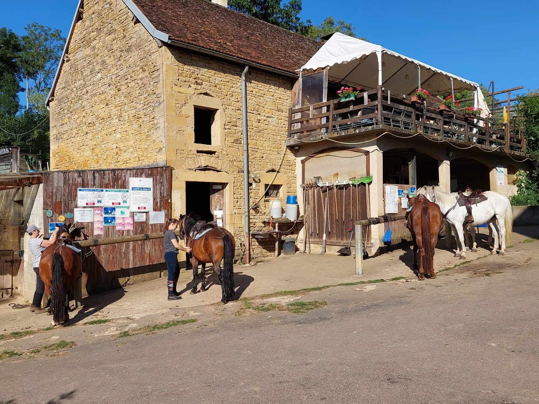 Préparation des chevaux 