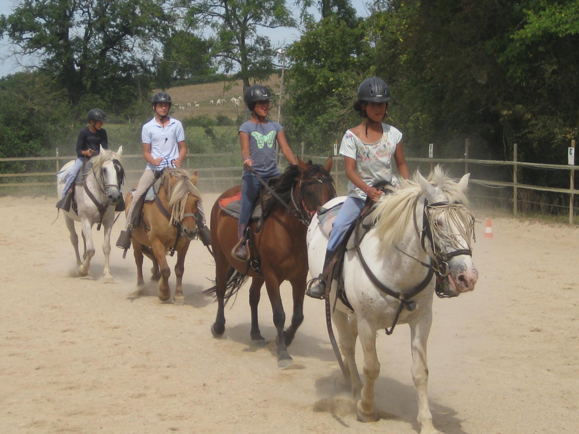 cours d'équitation